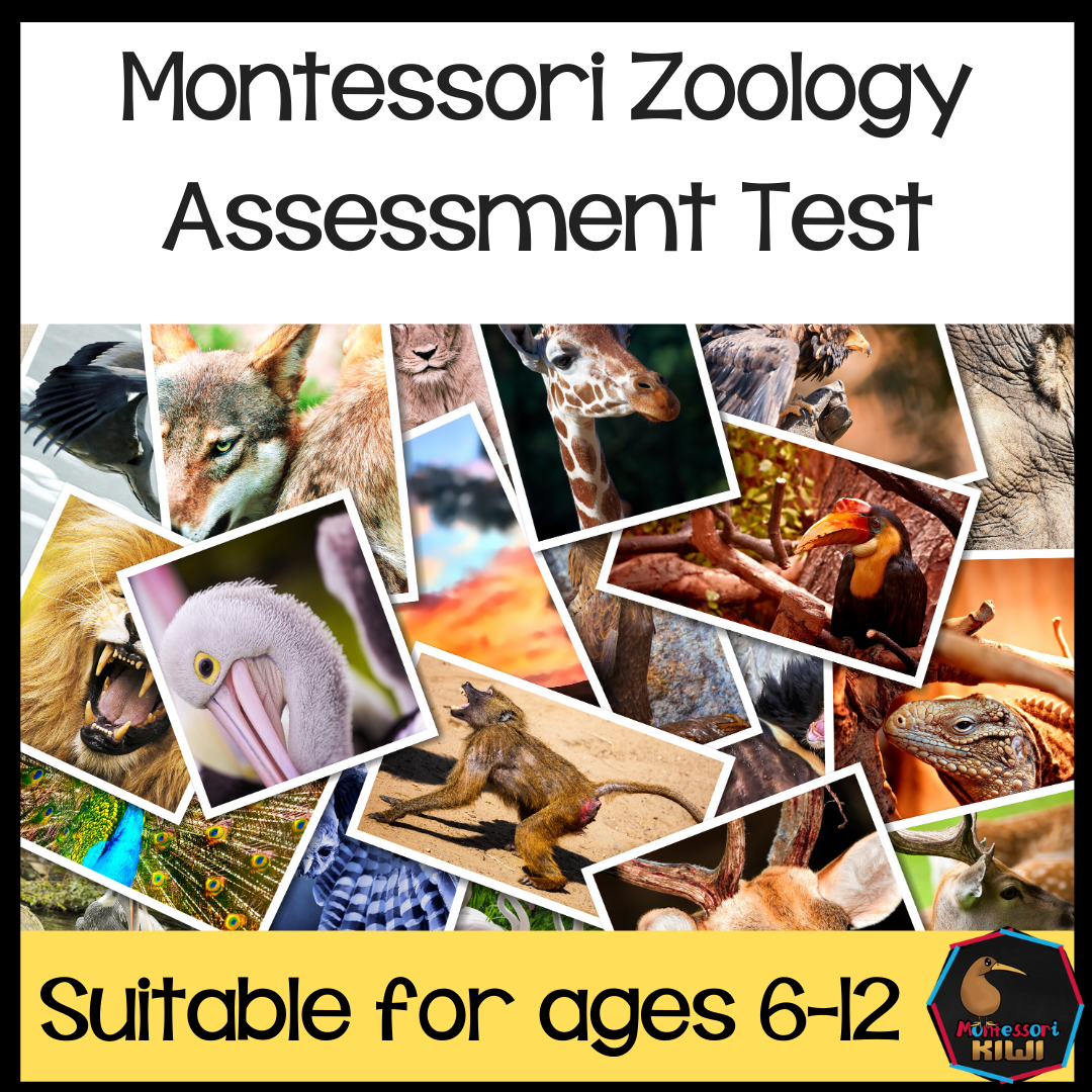 Zoology Test for Assessment - montessorikiwi
