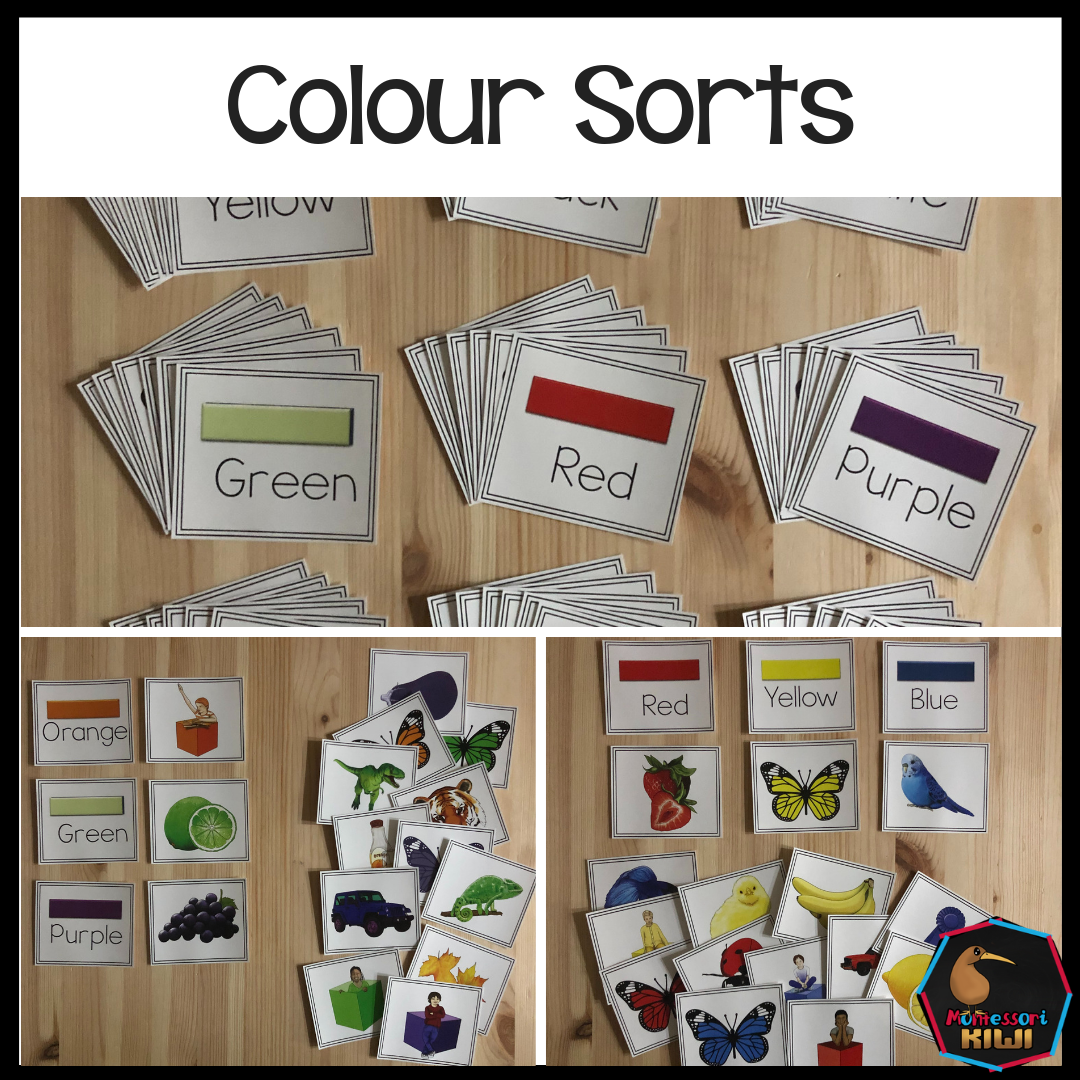 Color Sorts - montessorikiwi