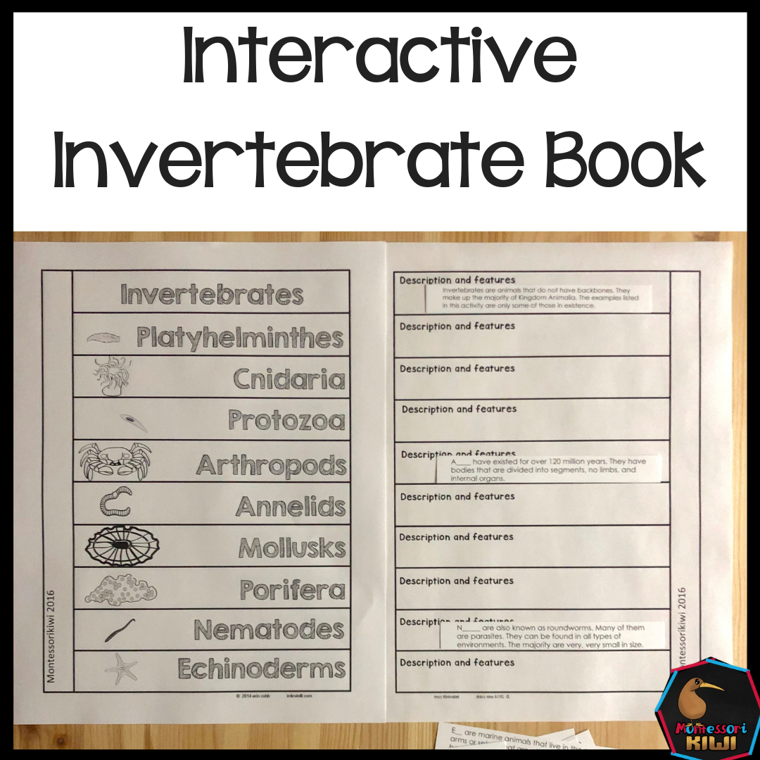 Invertebrate Book - montessorikiwi