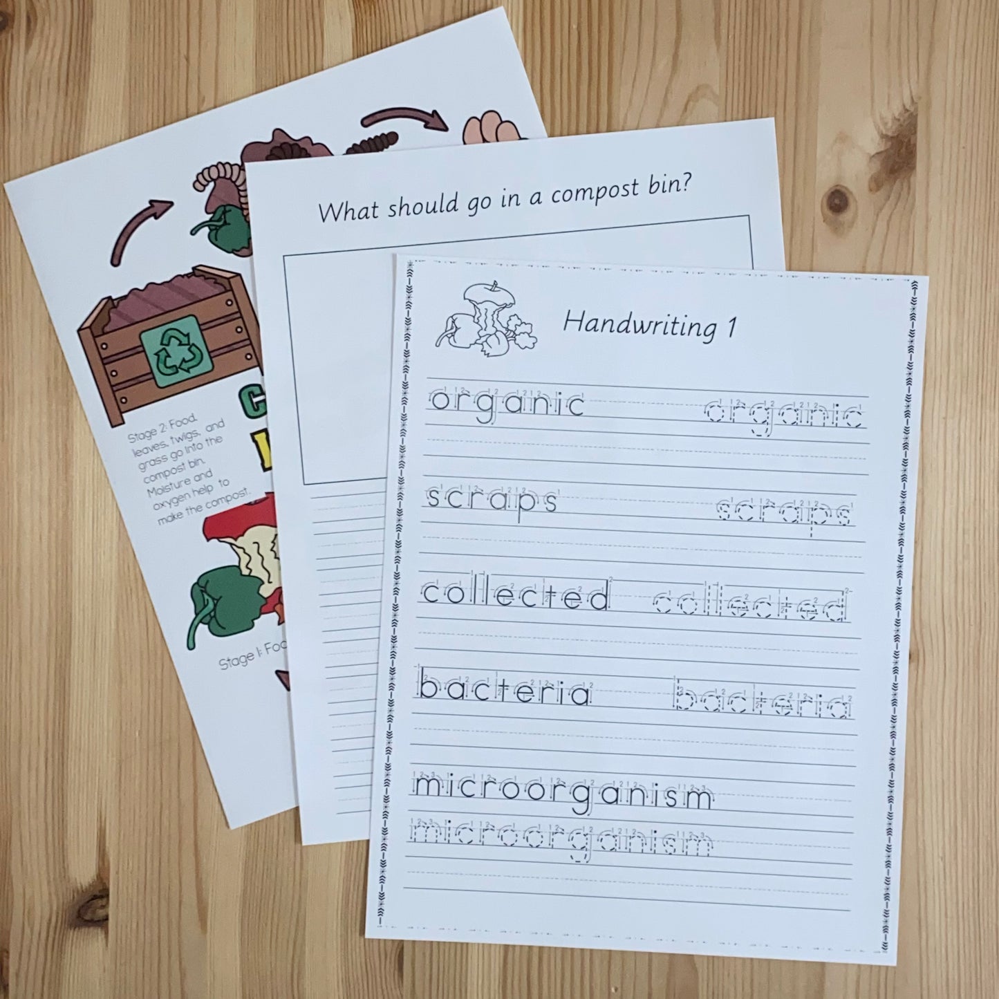 Compost Activities - montessorikiwi