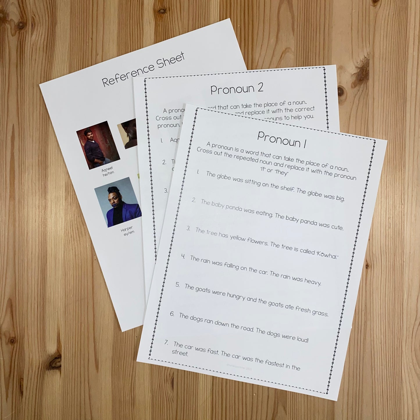 Pronouns Activities and Lesson Plans - Gender Inclusive (literacy) - montessorikiwi