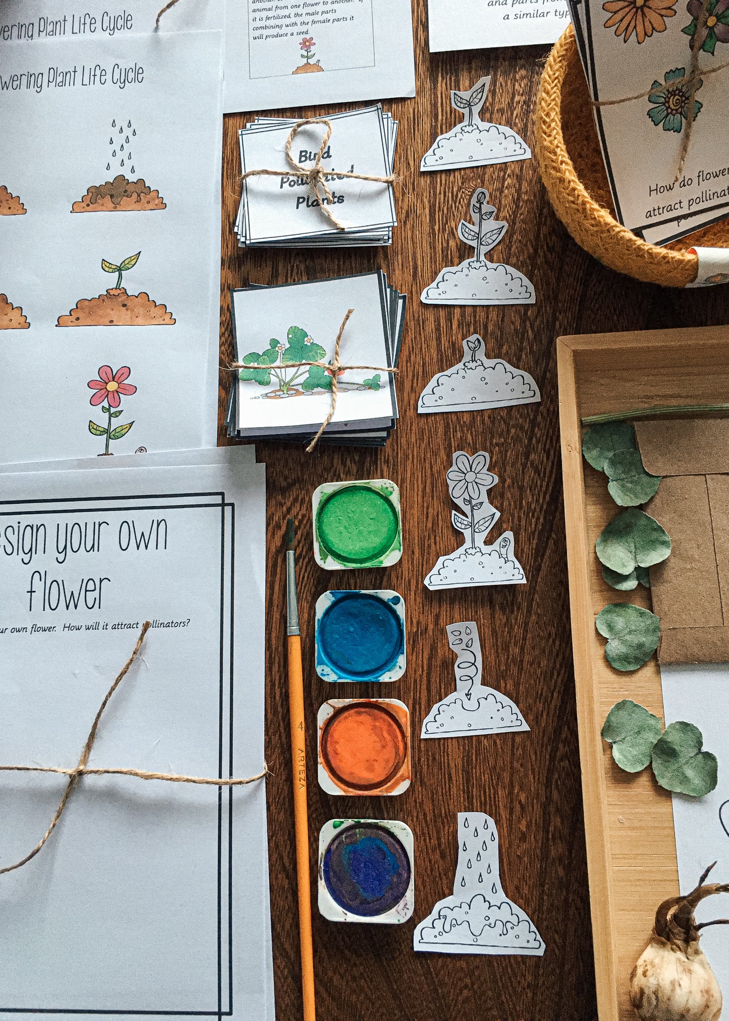 Montessori Inspired Pollination Resource - montessorikiwi