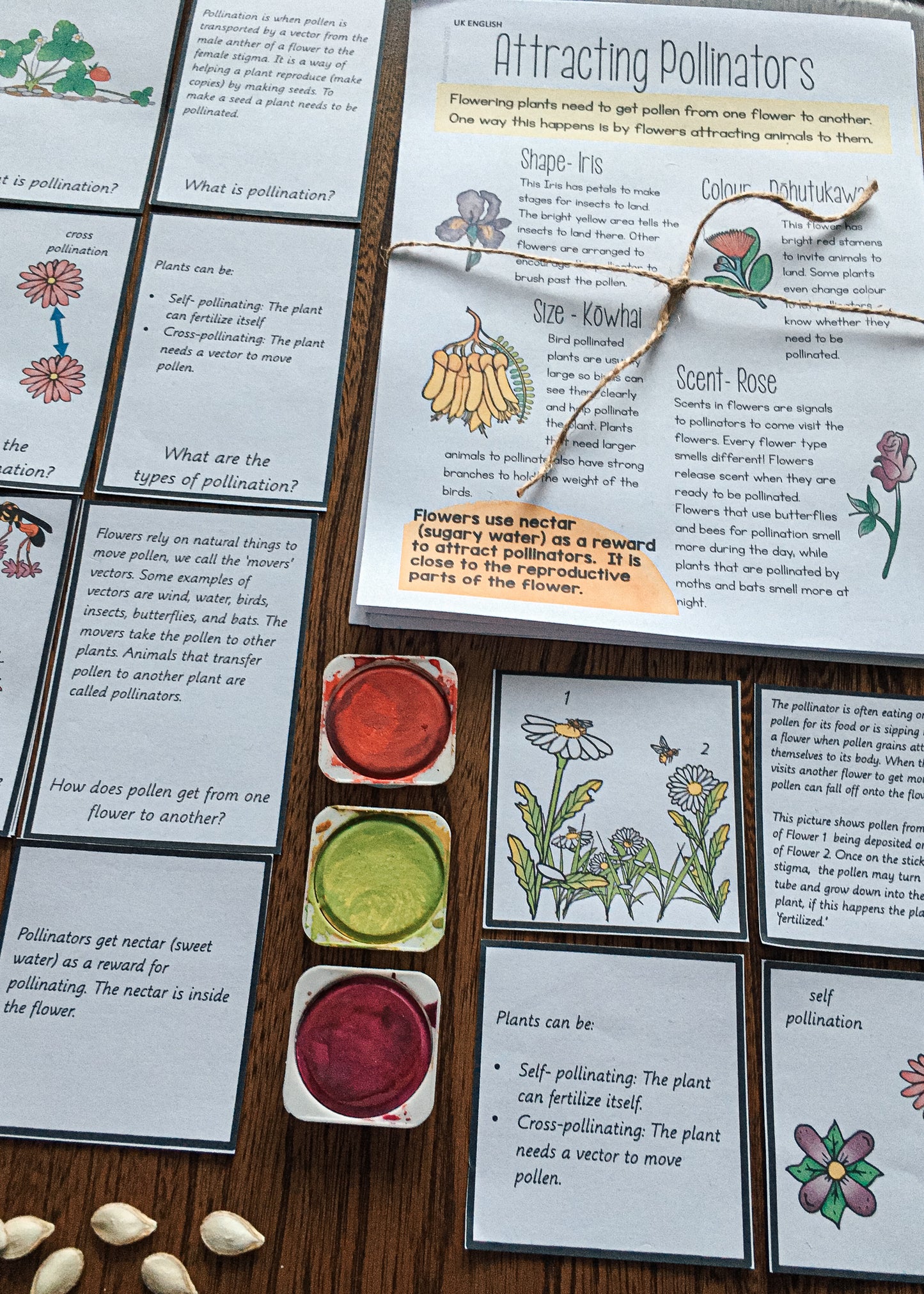 Montessori Inspired Pollination Resource - montessorikiwi