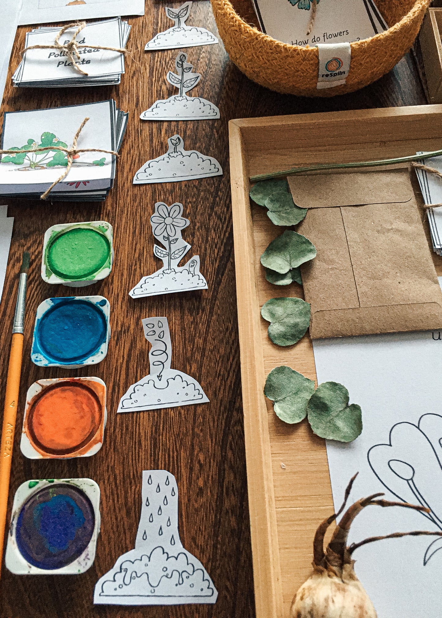 Montessori Inspired Pollination Resource - montessorikiwi