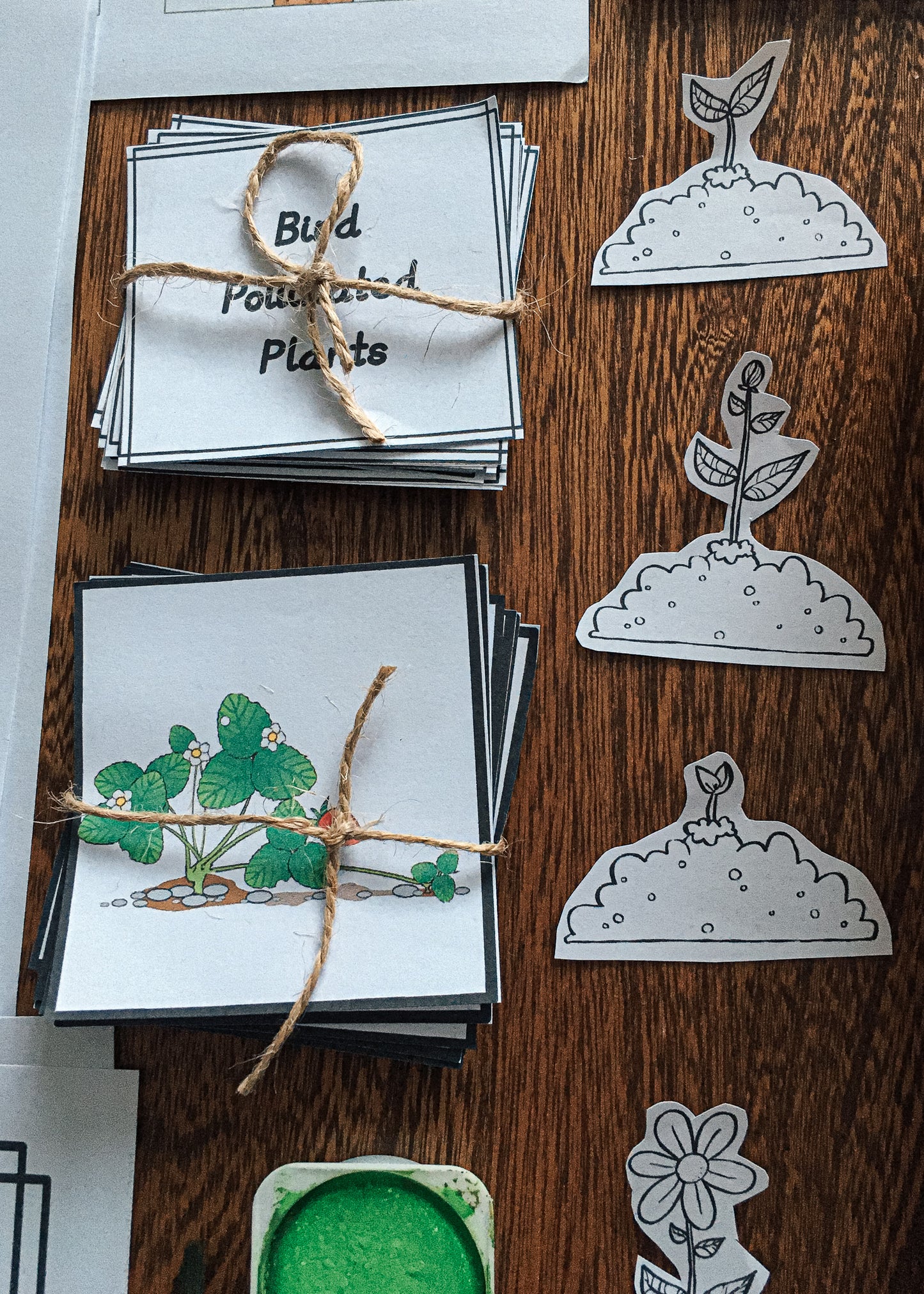 Montessori Inspired Pollination Resource - montessorikiwi