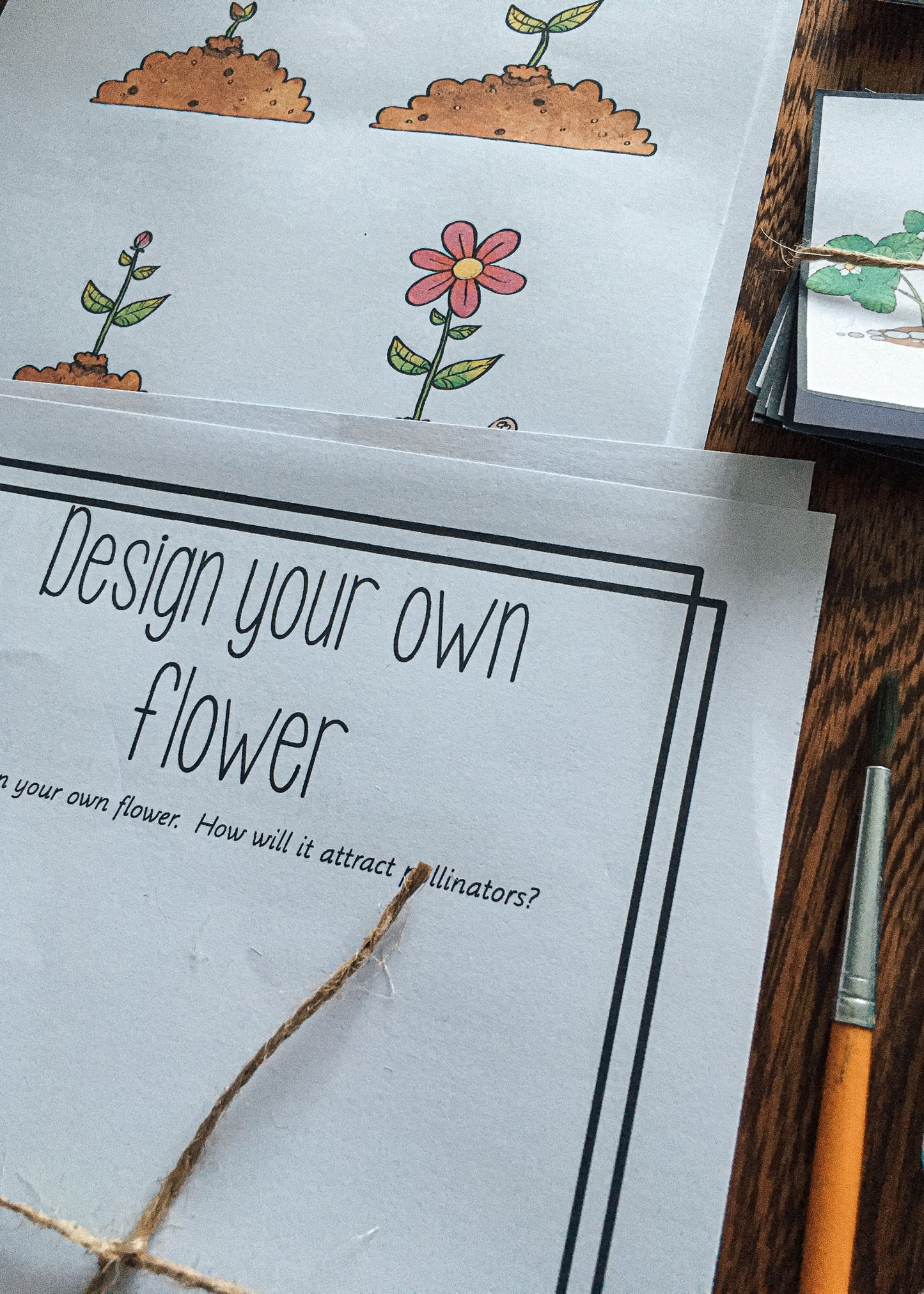 Montessori Inspired Pollination Resource - montessorikiwi