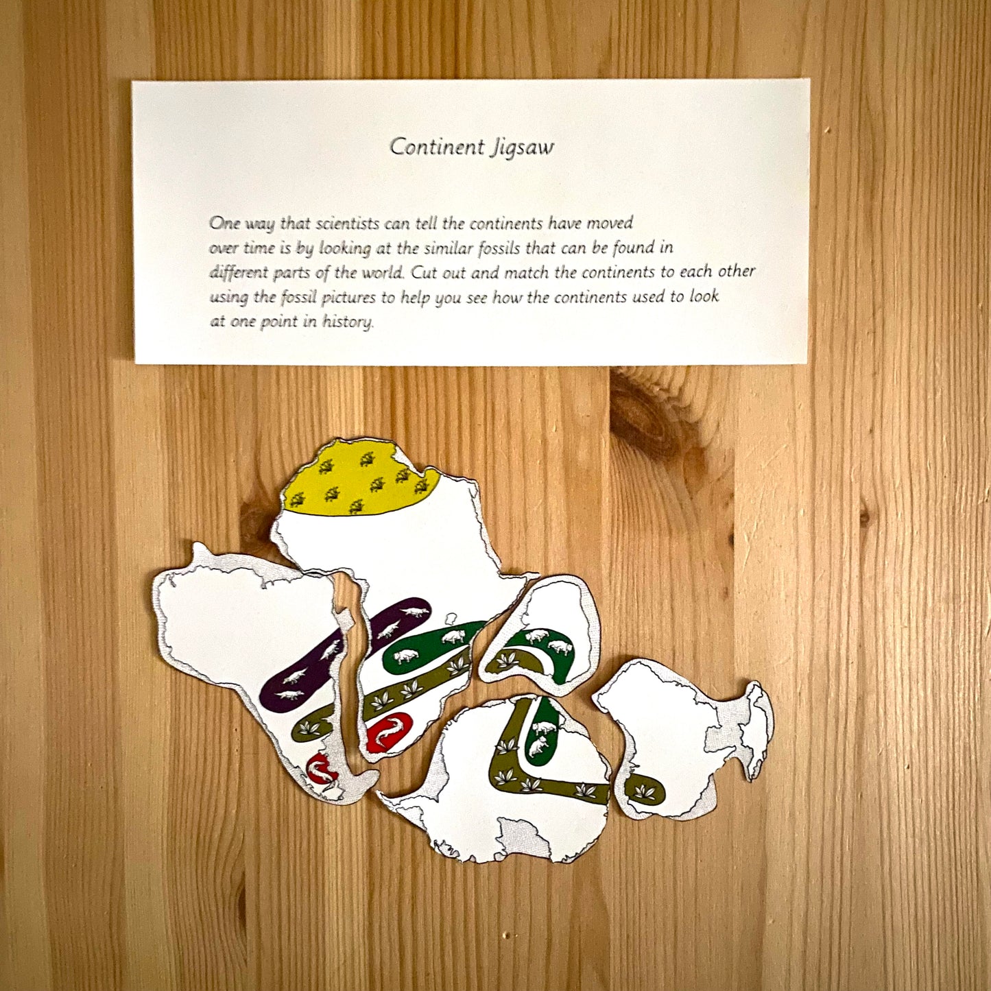 Plate tectonics vocabulary and lesson activities (geography) - montessorikiwi