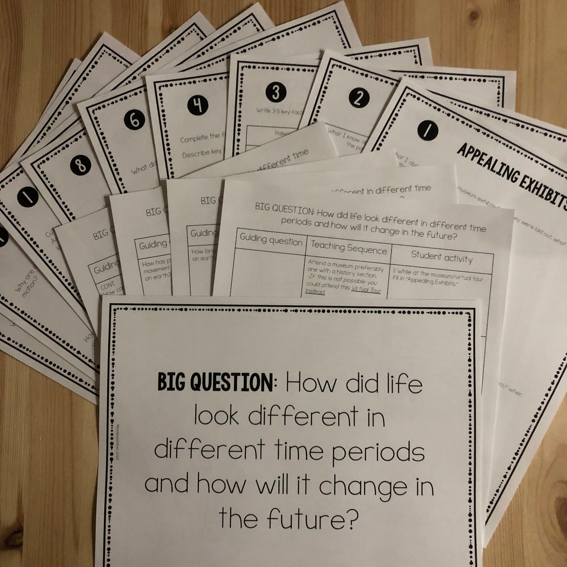 Museum Exhibit: Exploring Geological Time A PBL Unit - montessorikiwi