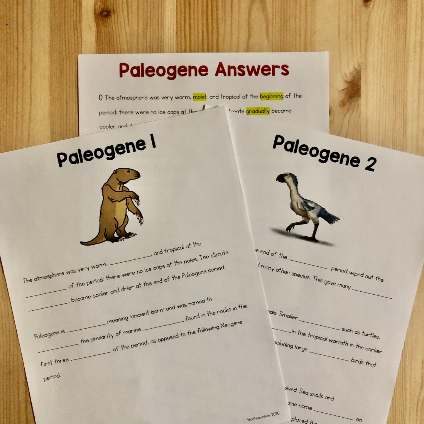 Cenozoic Cloze Resources - Montessori reading material (cosmic) - montessorikiwi