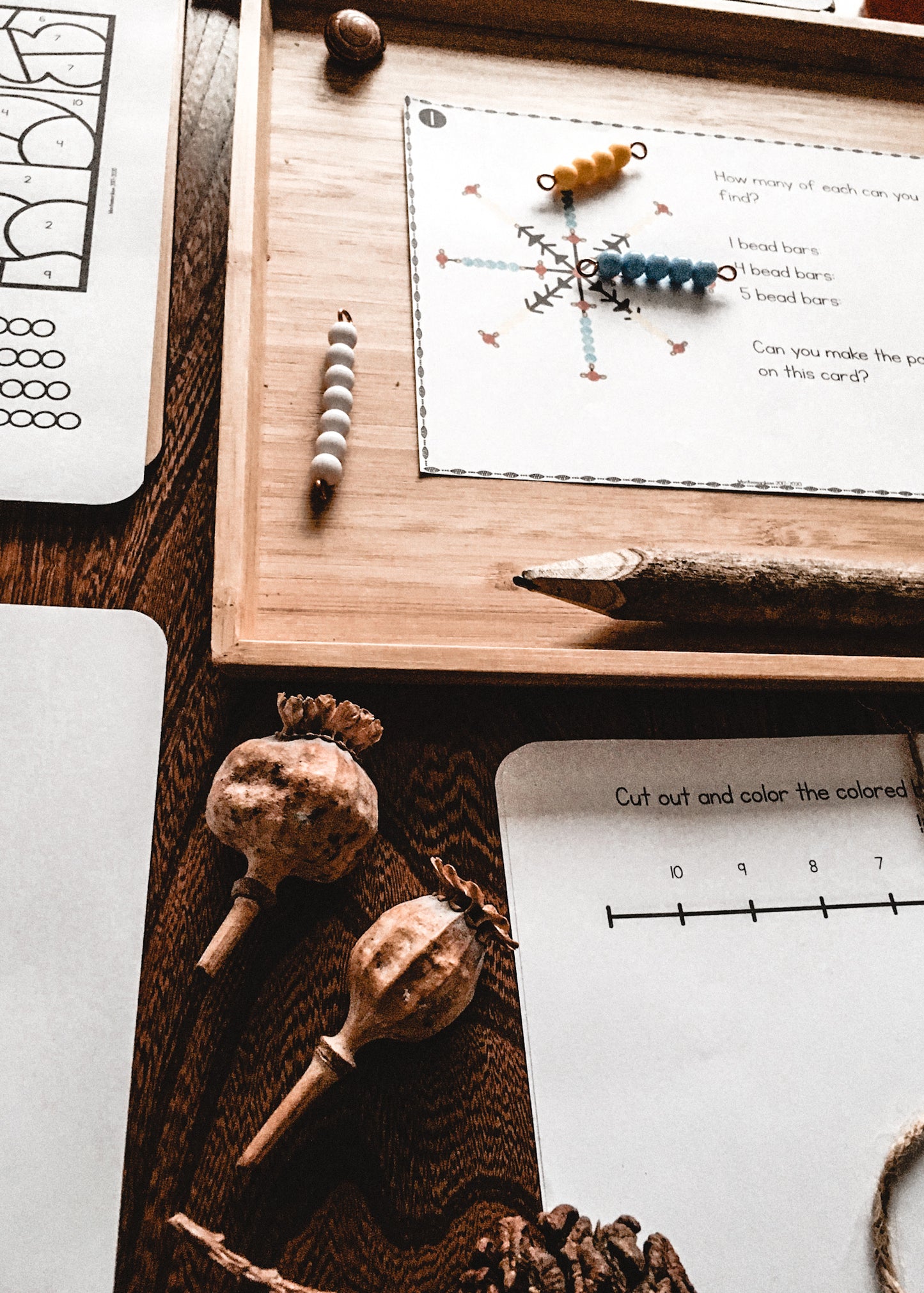 Montessori Junior Math Bundle - montessorikiwi