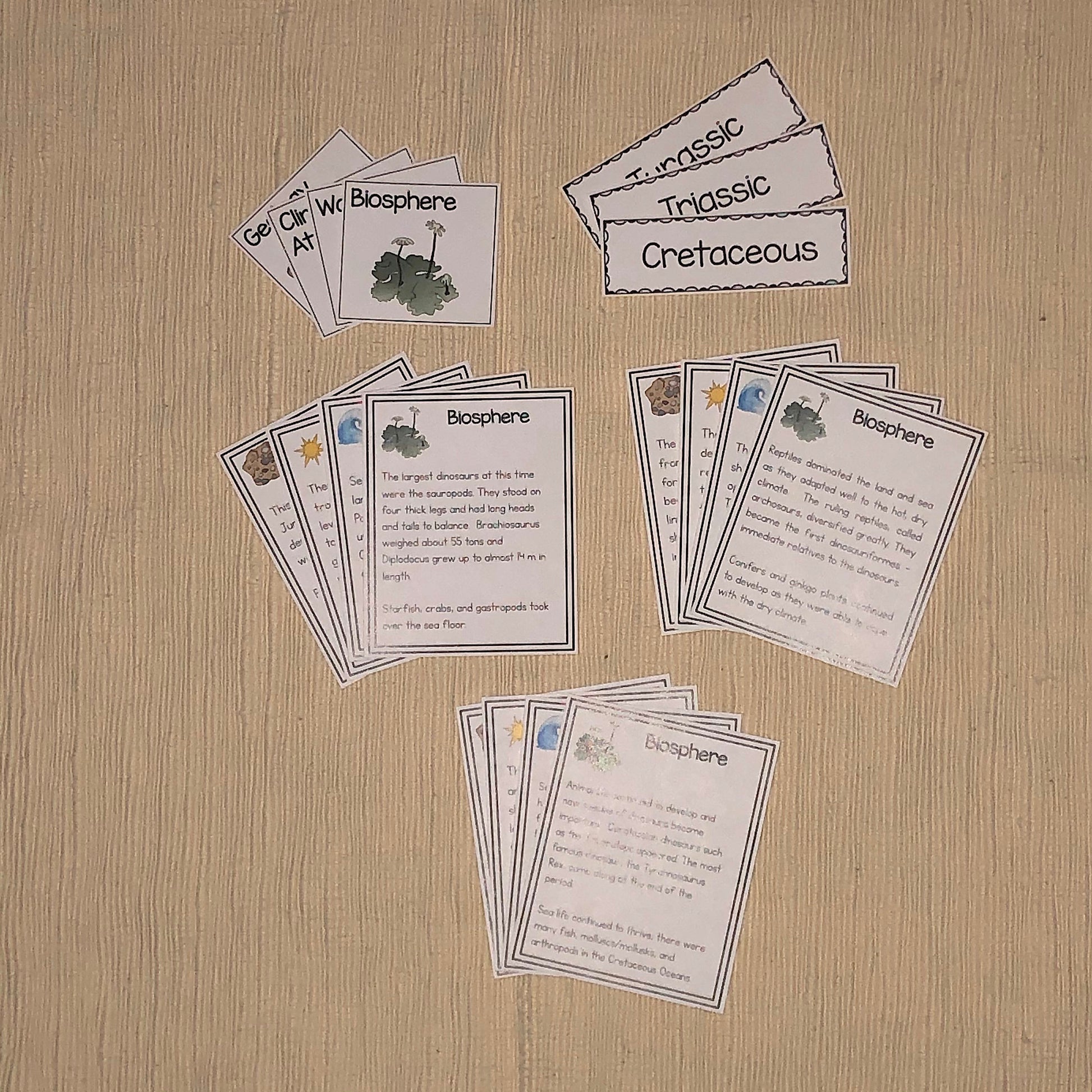 Paleozoic, Mesozoic, & Cenozoic Activities Bundle - montessorikiwi
