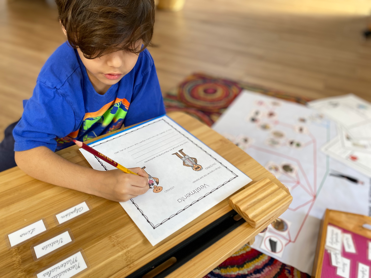 Cuadernillo de trabajo de Necesidades Básicas para primaria Montessori (Fundamental Human Needs Student Workbook) - montessorikiwi