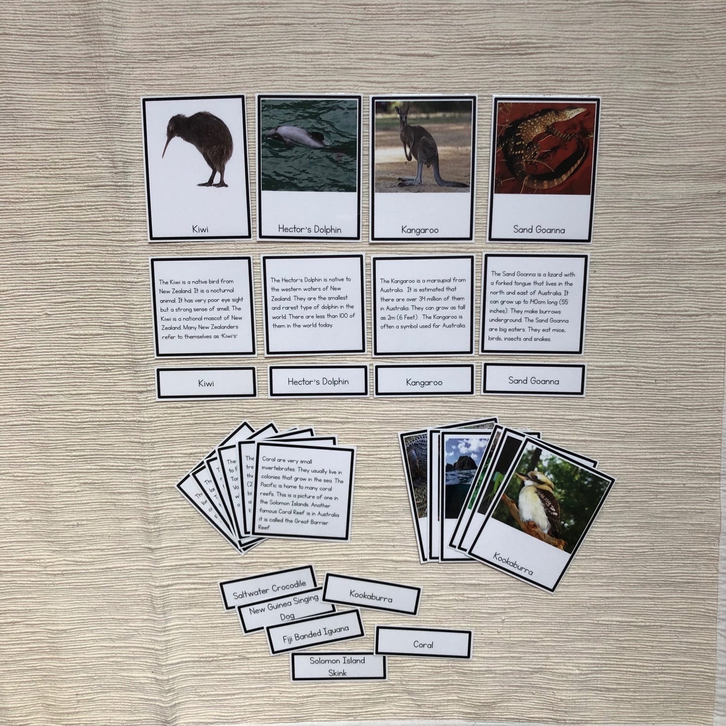 Oceania animals - montessorikiwi
