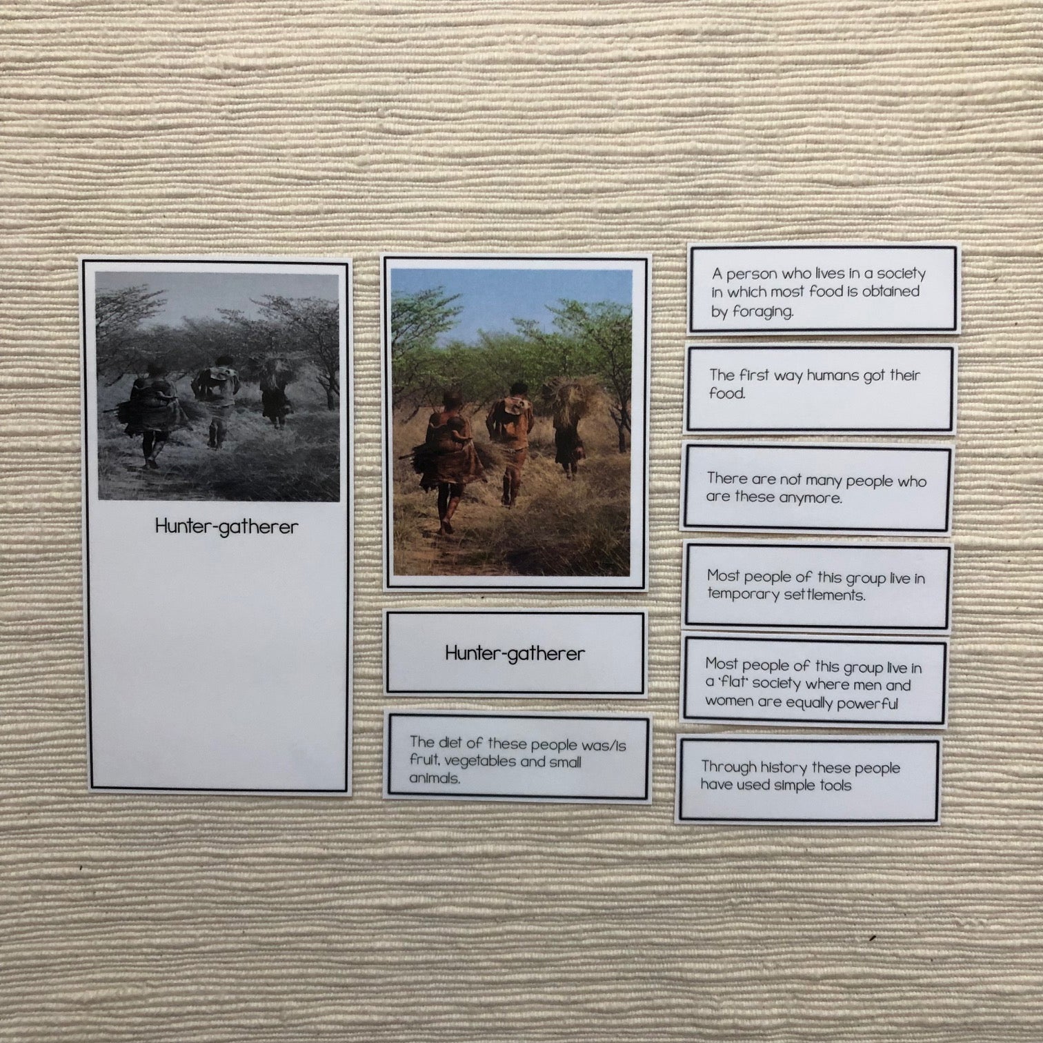 Hunter Gatherer, Nomadic Herder, Agrarian Sorting (cosmic) - montessorikiwi