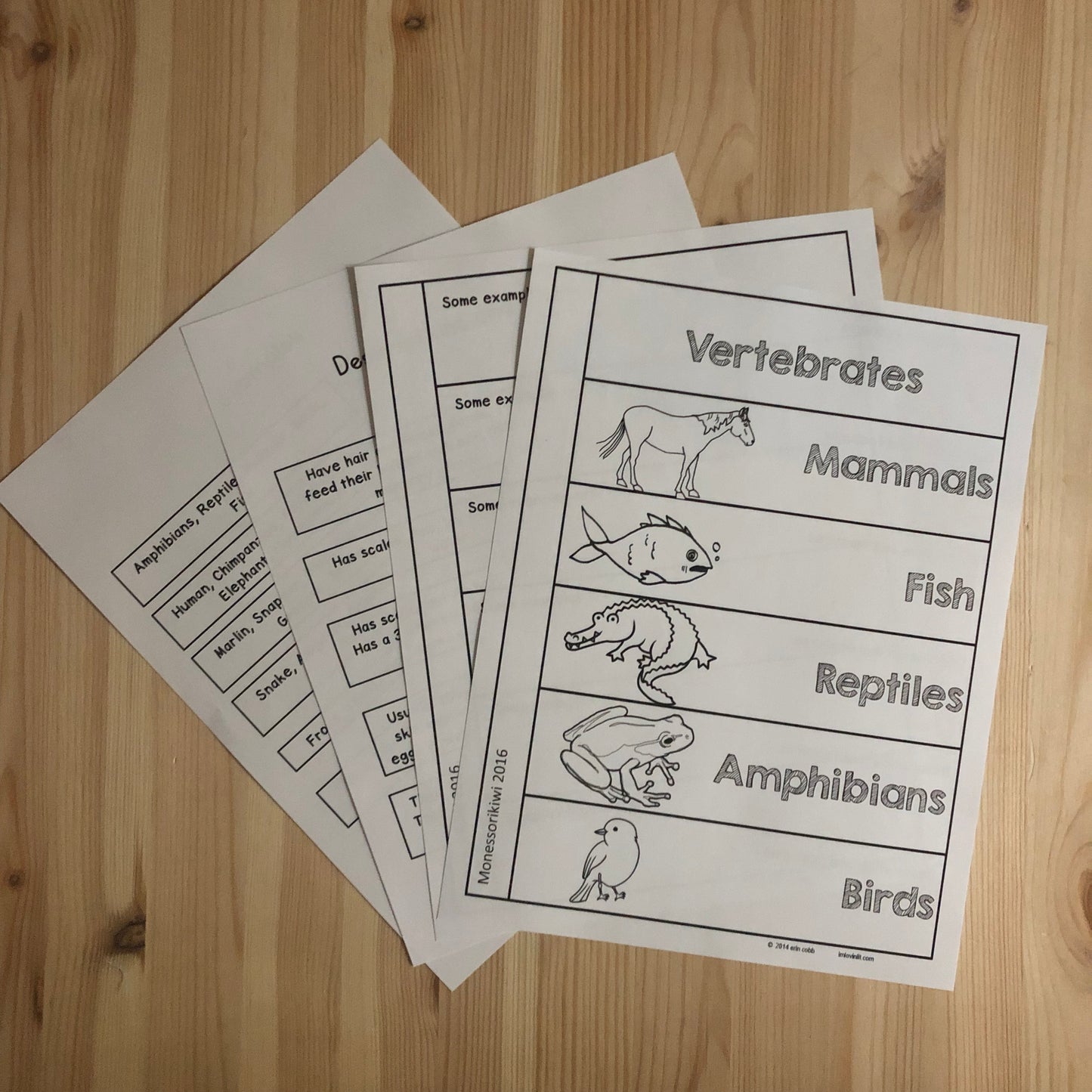 Vertebrate Book - montessorikiwi