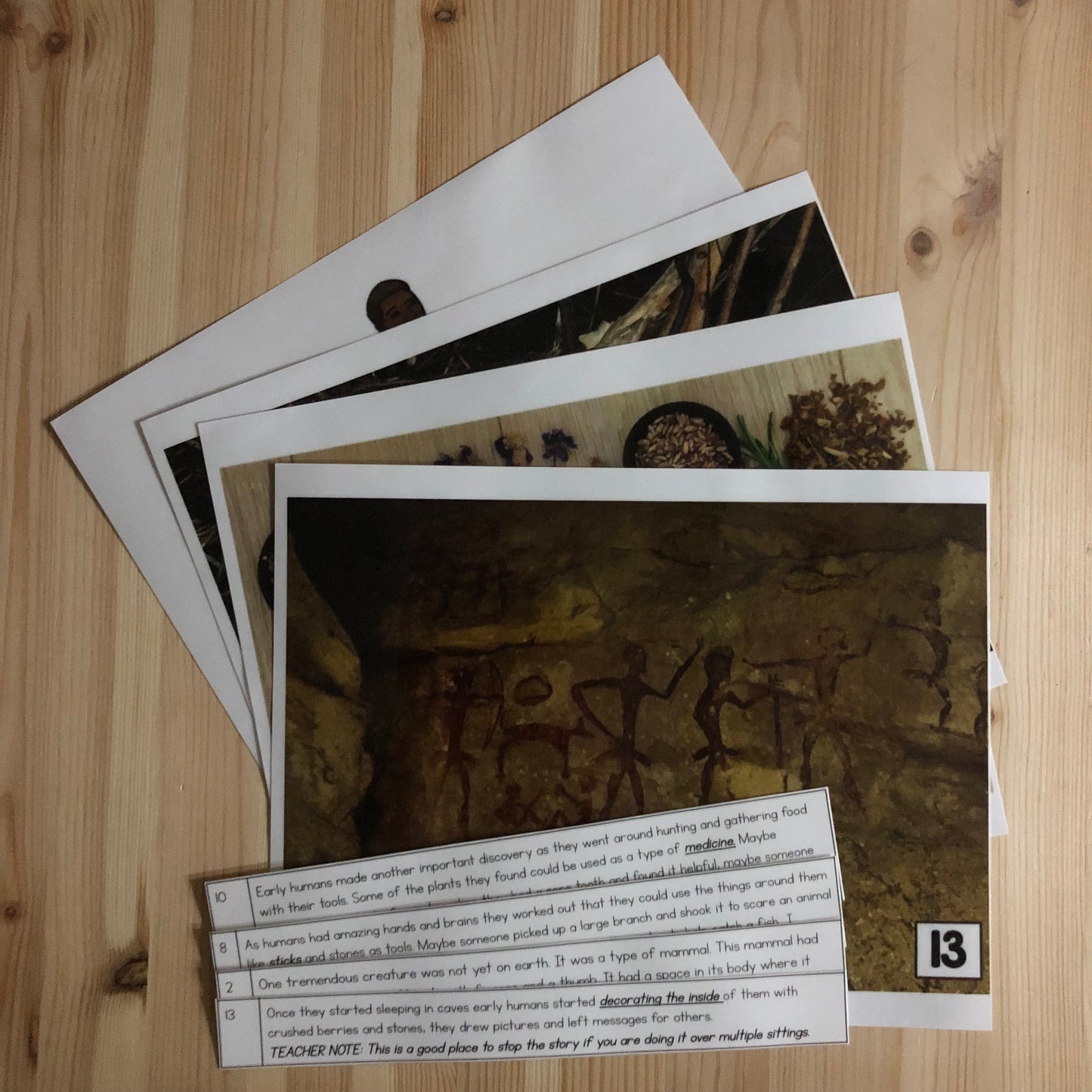 Montessori Great Story Script Bundle - montessorikiwi