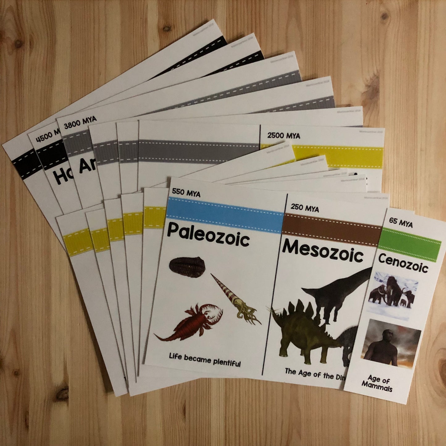 Clock of Eras Support Material Bundle - montessorikiwi