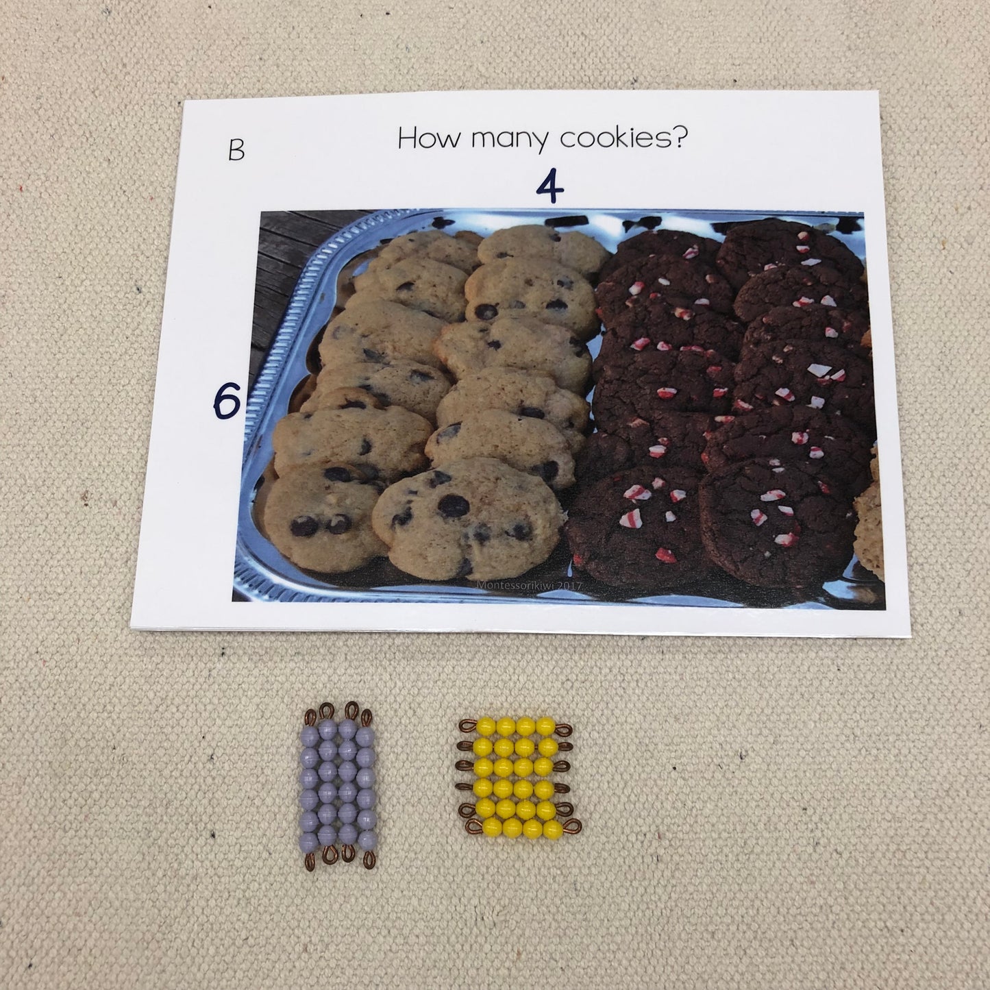 Montessori Arrays, skip counting, (colored bead bars) - montessorikiwi