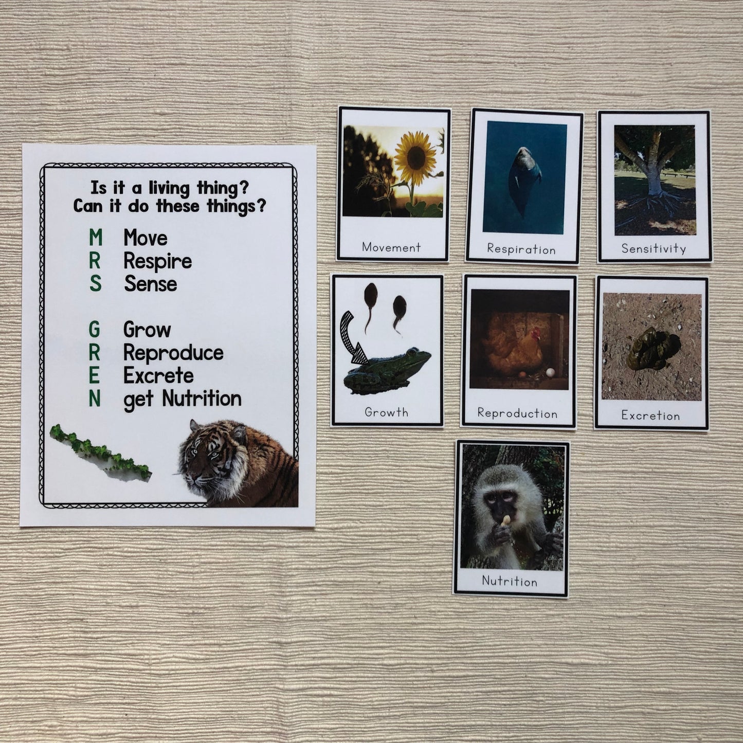 MRS GREN what makes something a living organism? - montessorikiwi