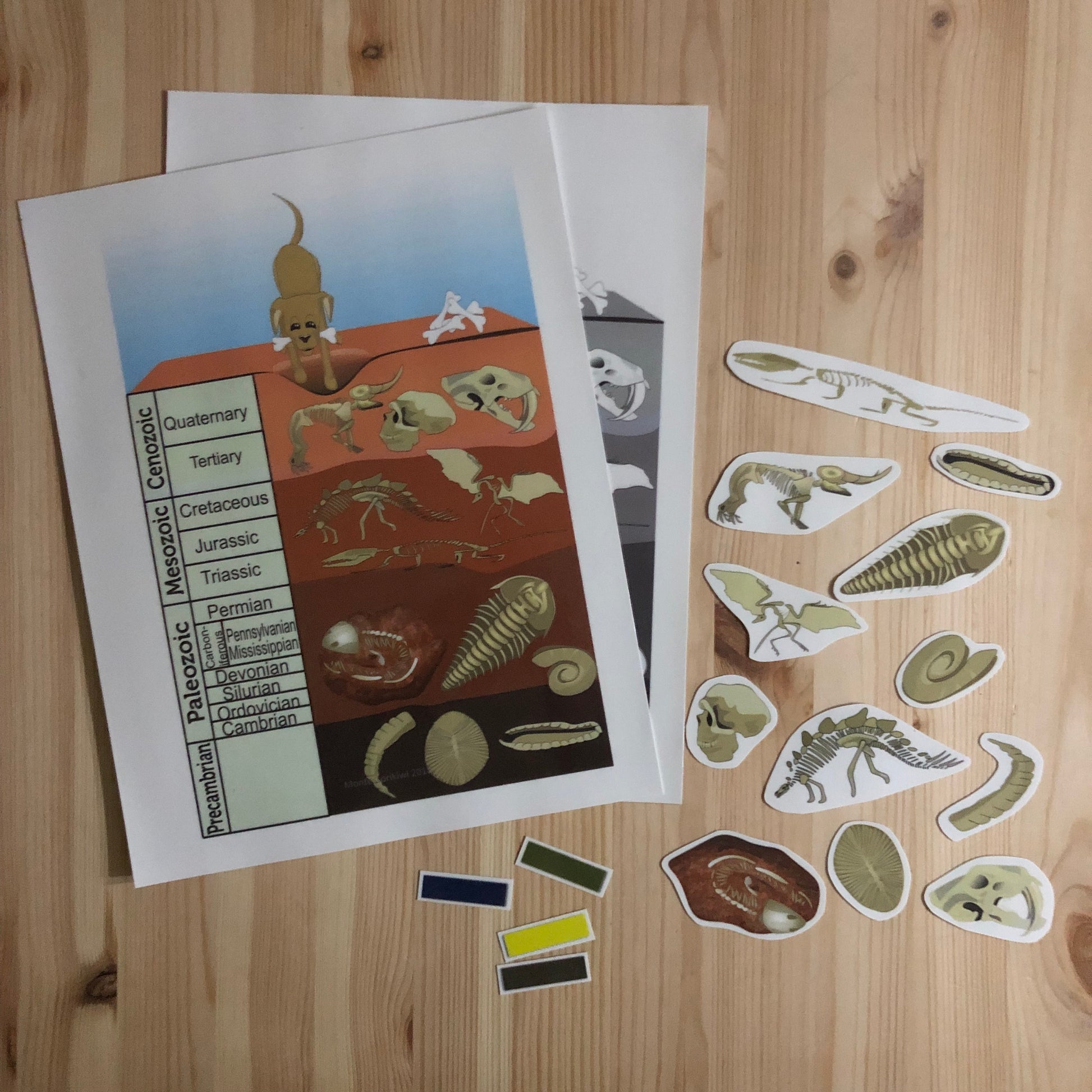 Fossil Matching Activity (cosmic) - montessorikiwi