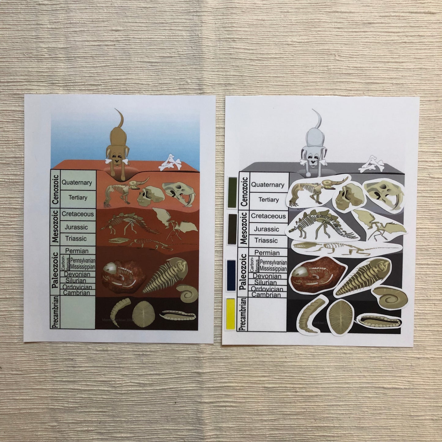 Fossil Matching Activity (cosmic) - montessorikiwi