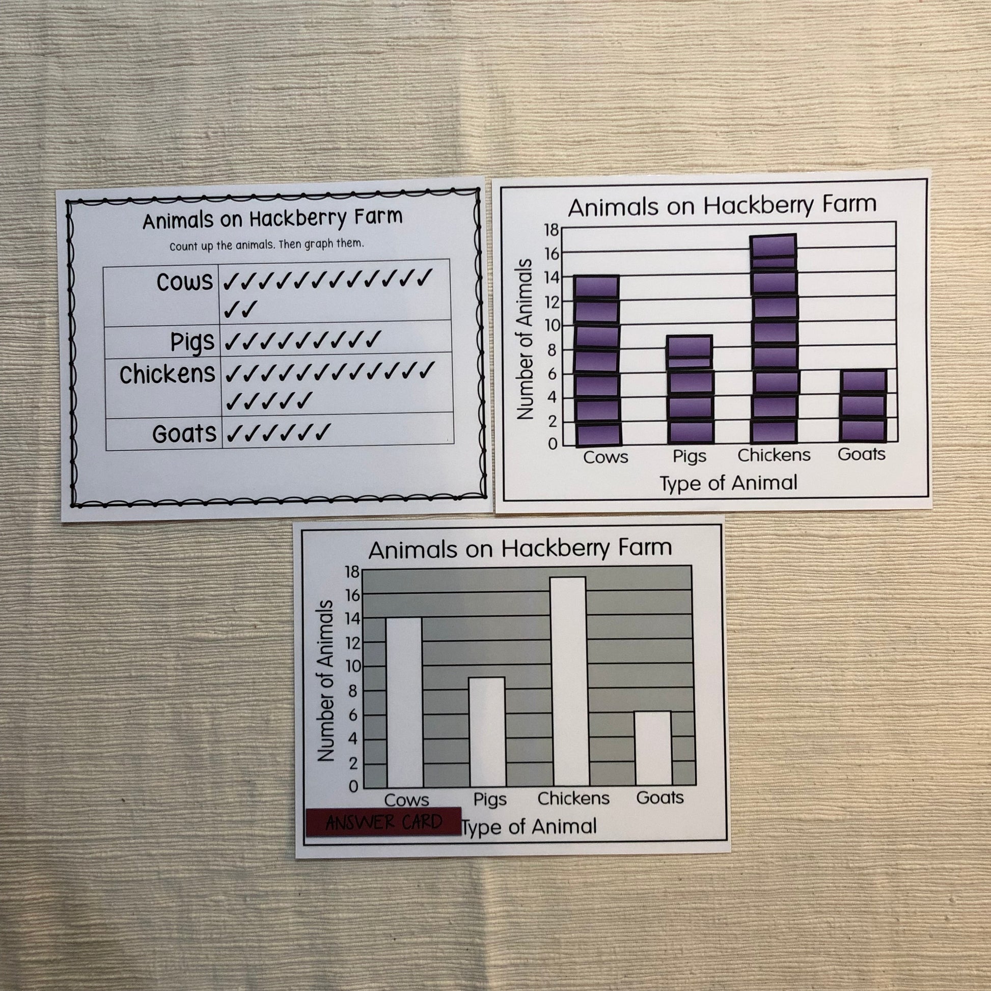 Self Correcting independent Graphing activities - montessorikiwi