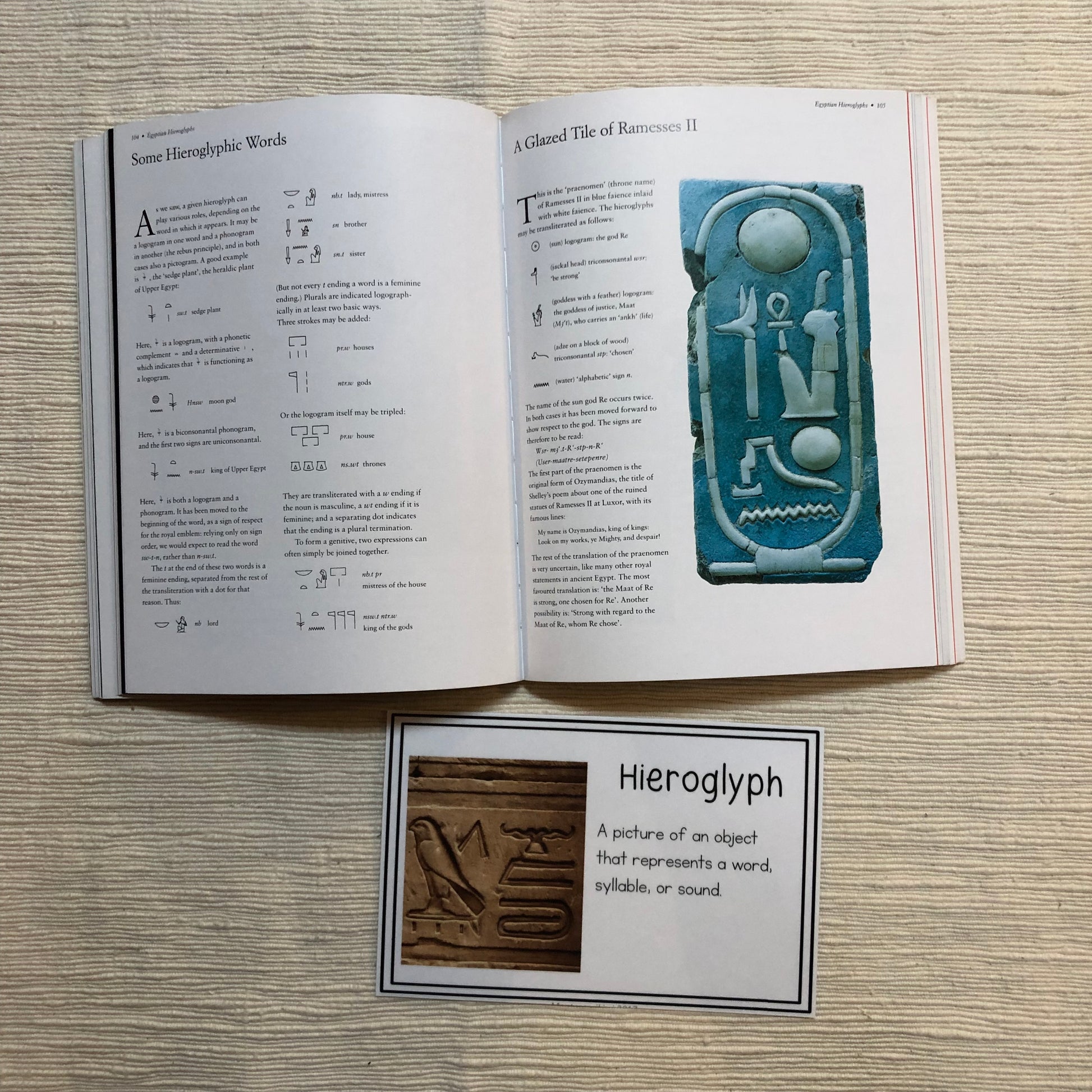 Vocab Words for Montessori Great Stories Bundle - montessorikiwi