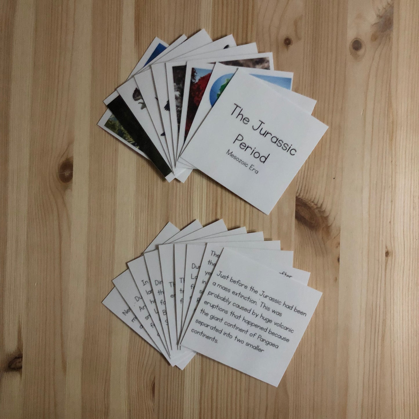 Make a Museum Exhibit: PBL Unit Resources Bundle - montessorikiwi