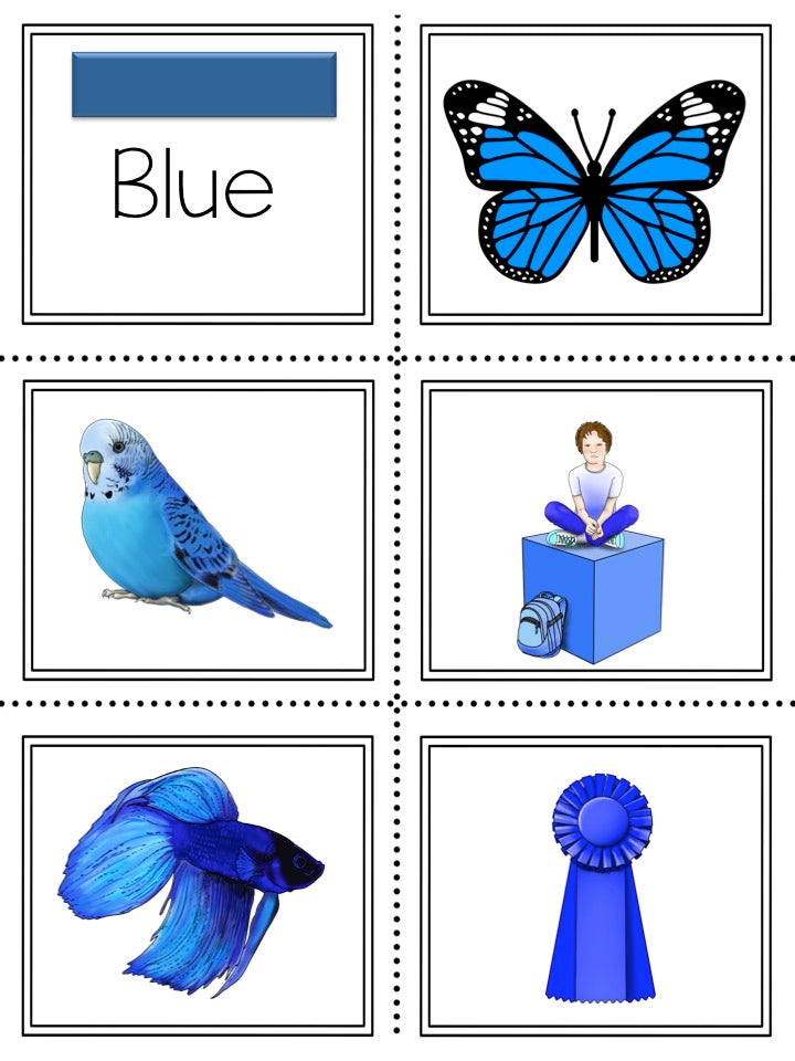 Color Sorts - montessorikiwi