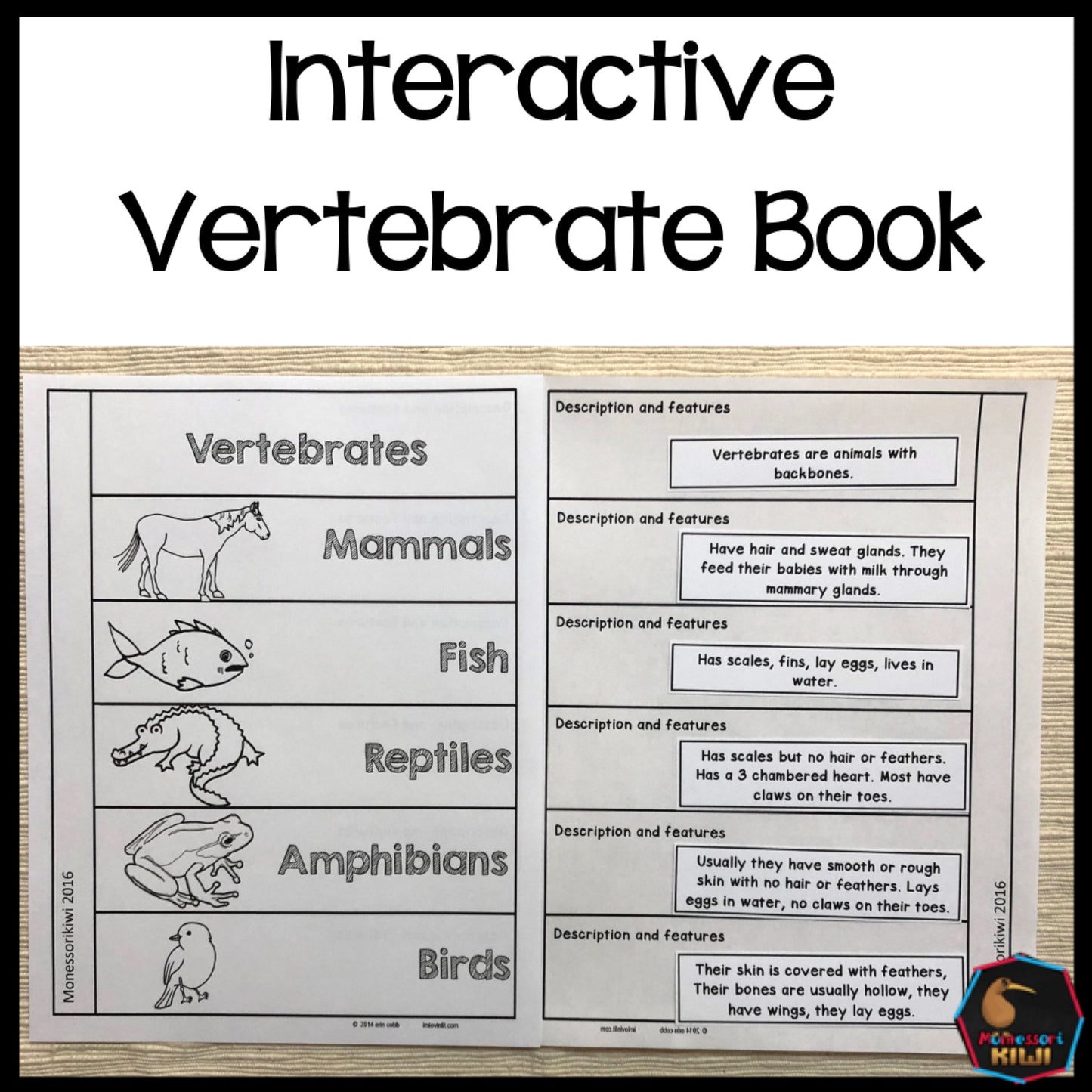 Vertebrate Book - montessorikiwi