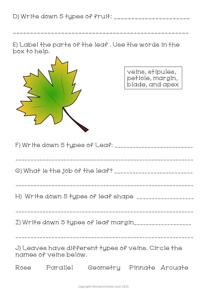 Montessori Botany Test for Assessment - montessorikiwi
