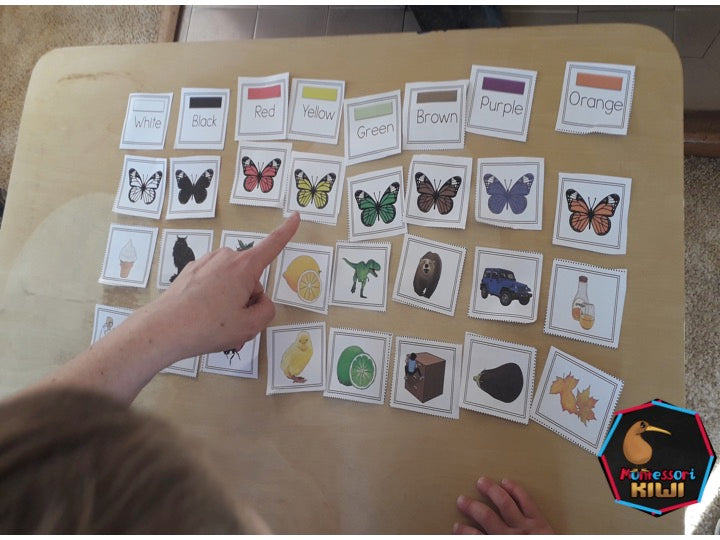 Color Sorts - montessorikiwi