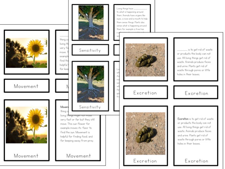 MRS GREN what makes something a living organism? - montessorikiwi