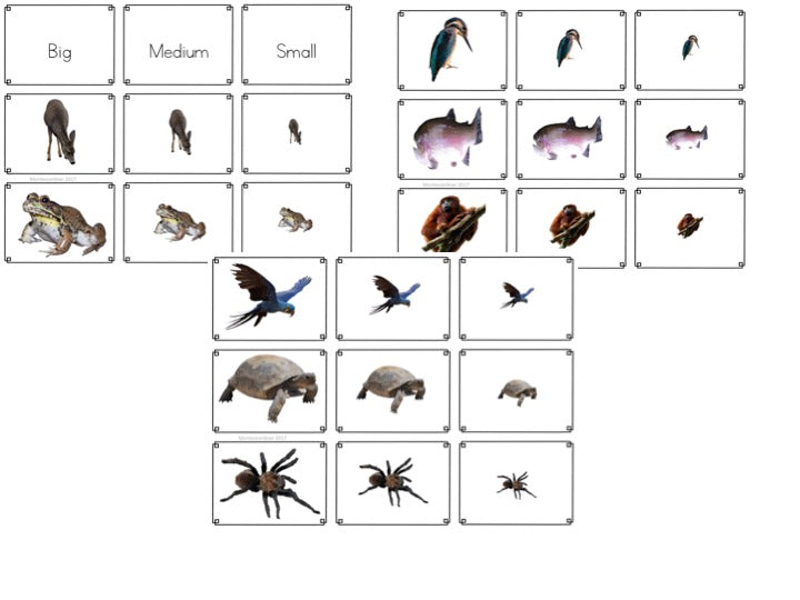Animal themed math sorting - montessorikiwi