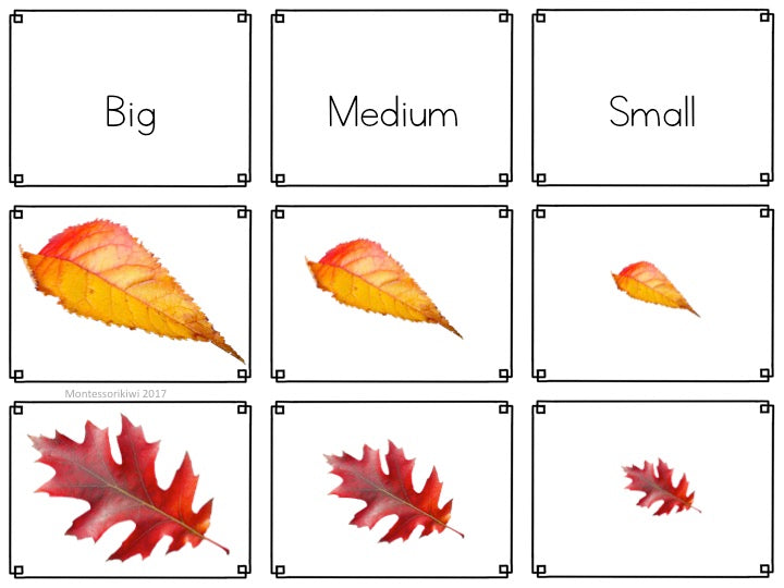 Autumn or Fall themed math sorting - montessorikiwi