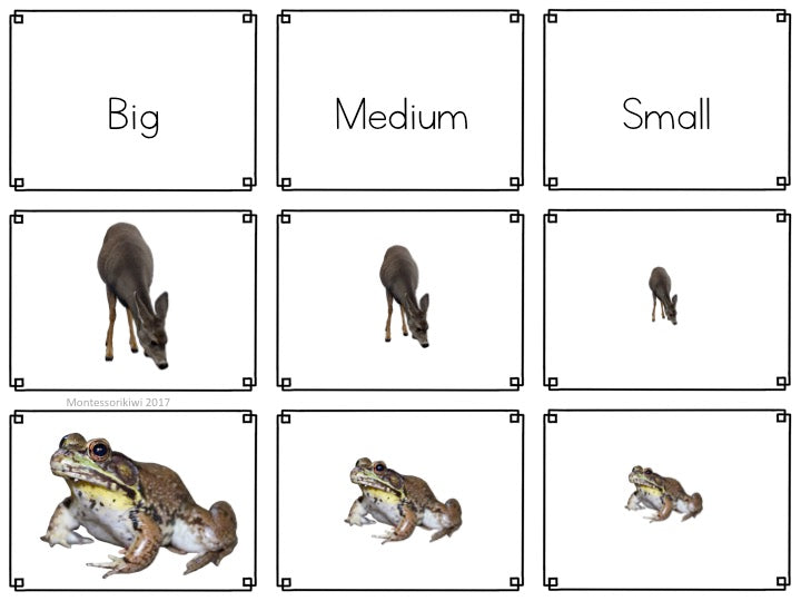 Animal themed math sorting - montessorikiwi