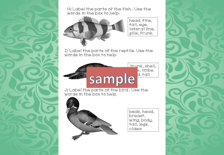 Zoology Test for Assessment - montessorikiwi