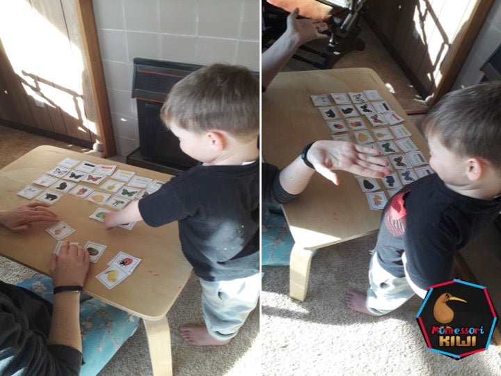 Color Sorts - montessorikiwi
