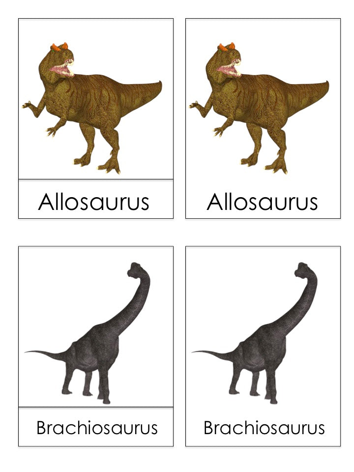 Dinosaur 3 part cards - montessorikiwi