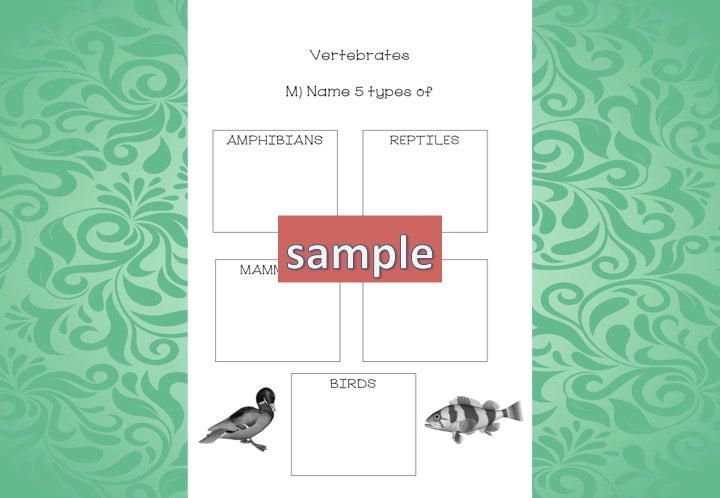 Zoology Test for Assessment - montessorikiwi