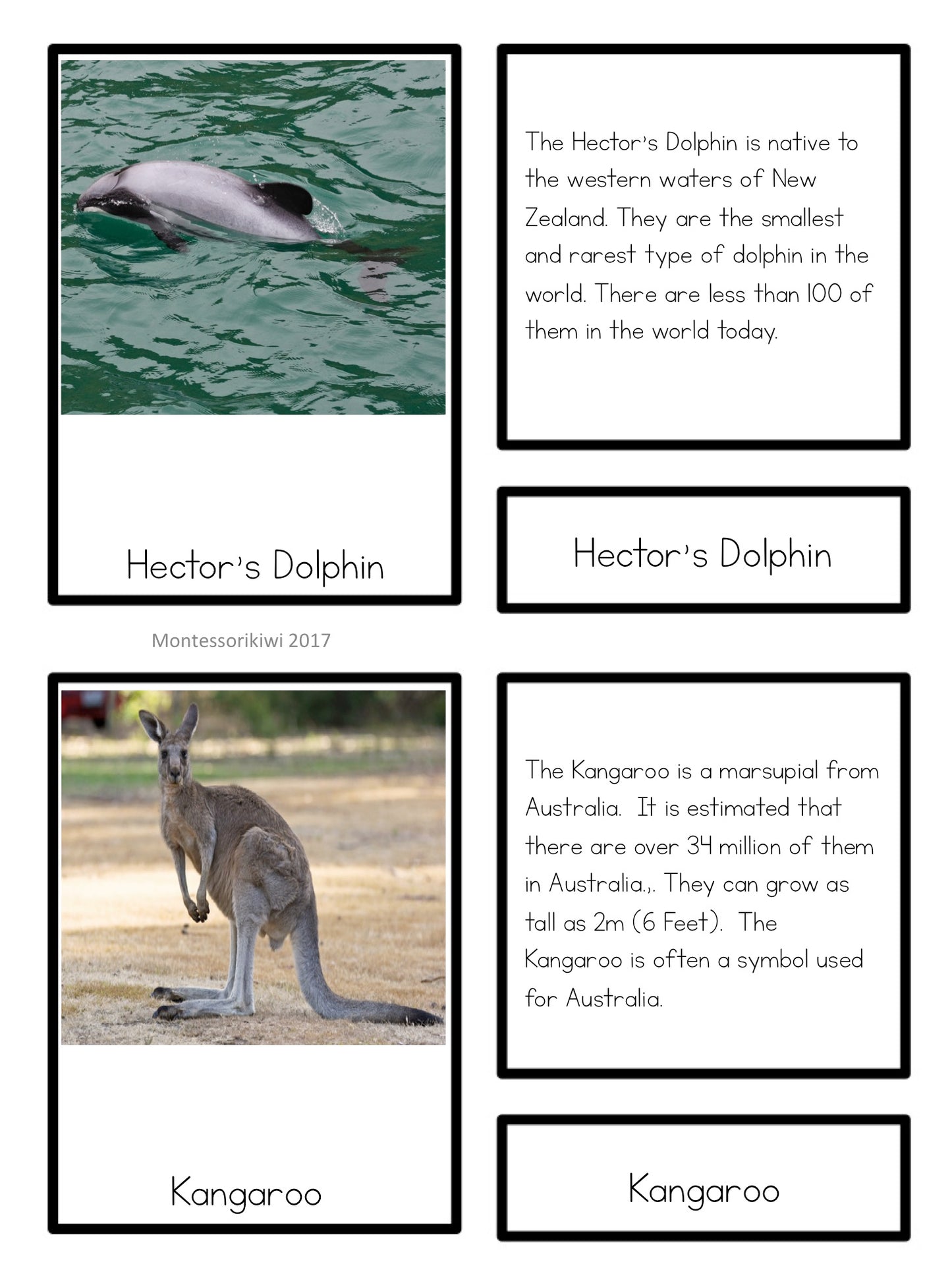 Oceania animals - montessorikiwi