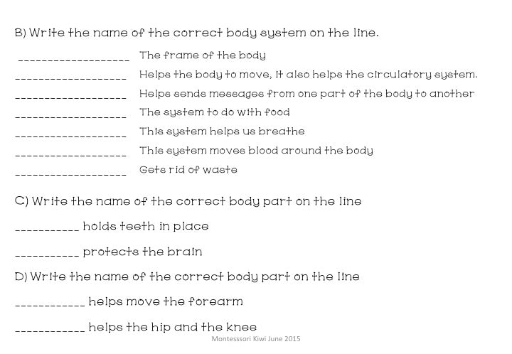 Montessori Human Body test for assessment - montessorikiwi