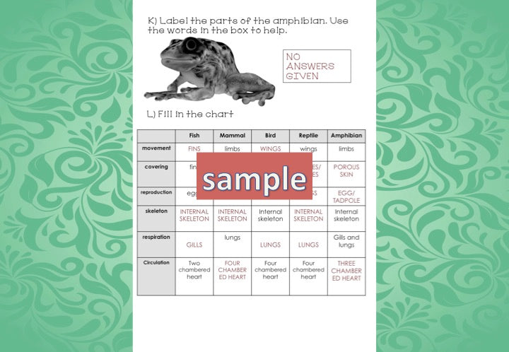 Zoology Test for Assessment - montessorikiwi