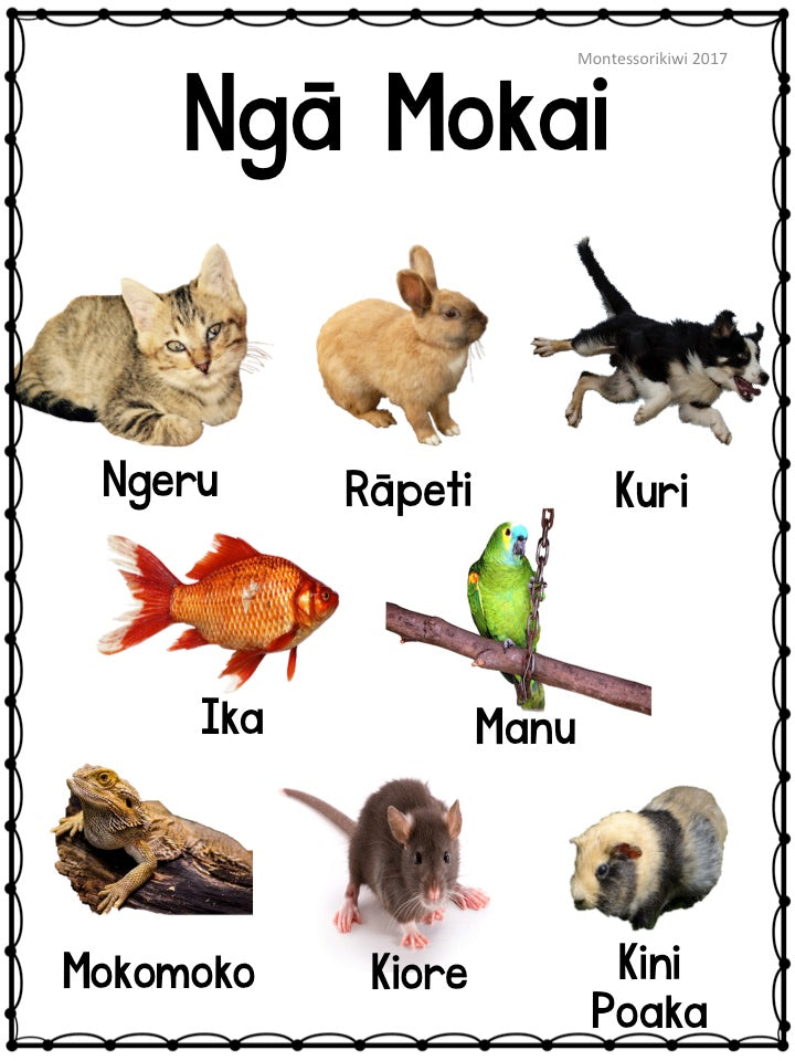 Maori Animal Posters x 4 - montessorikiwi