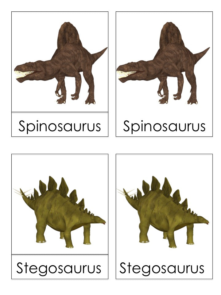 Dinosaur 3 part cards - montessorikiwi