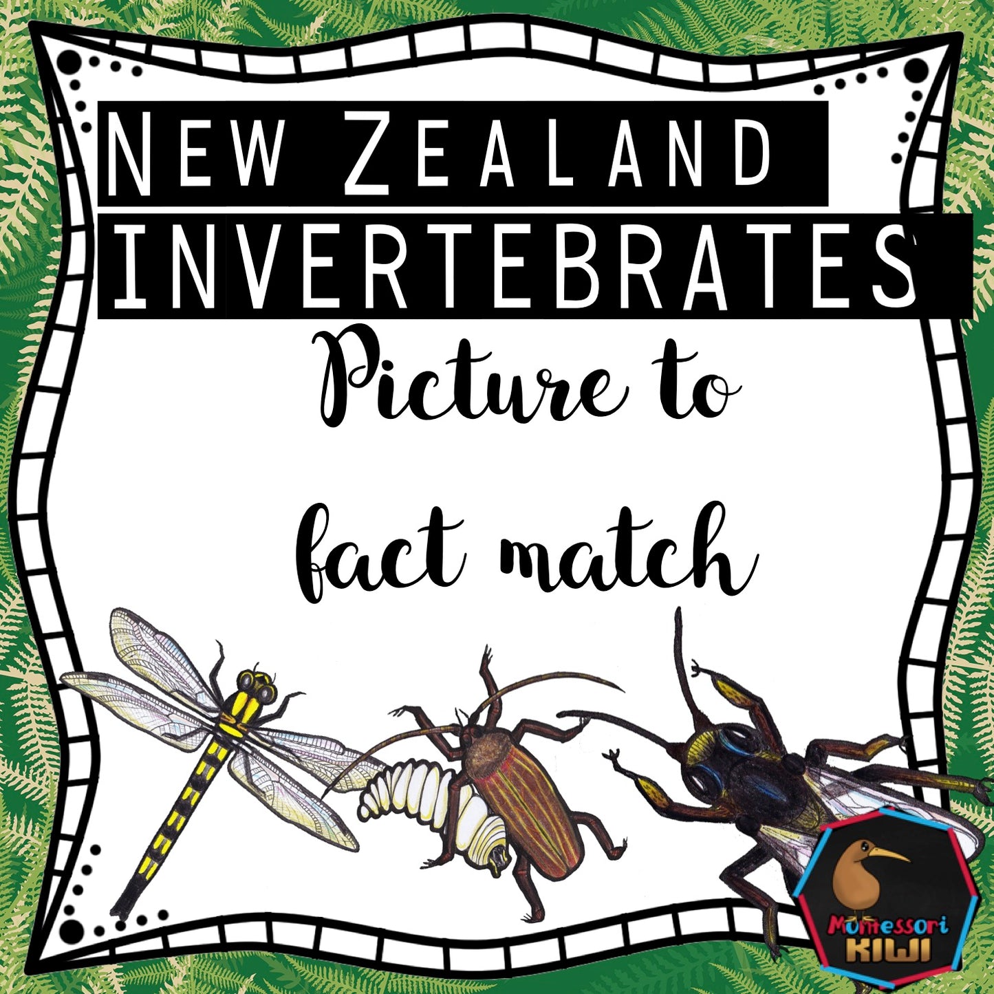 New Zealand invertebrate facts (Montessori inspired) - montessorikiwi