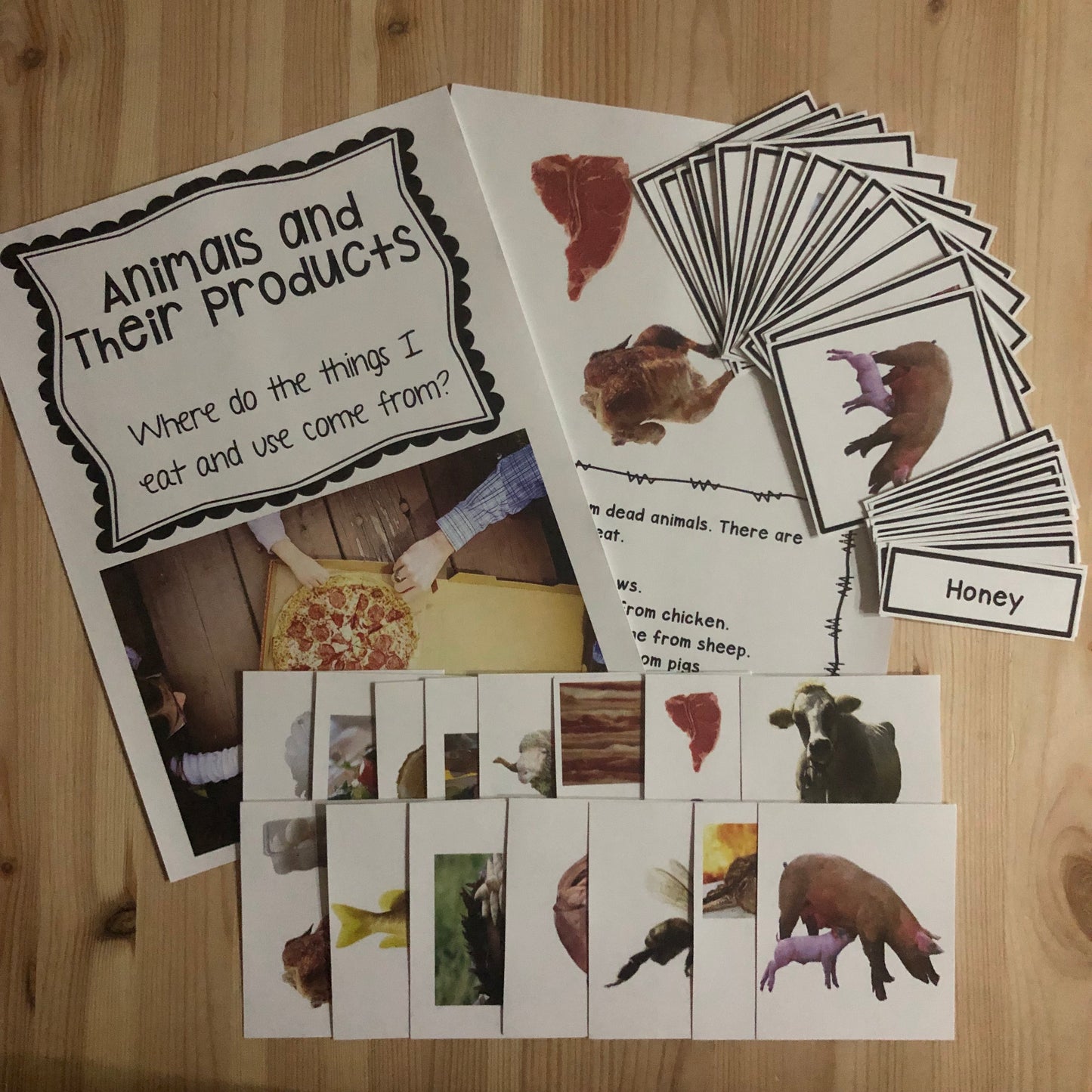 Plants and animals uses and resources bundle - montessorikiwi