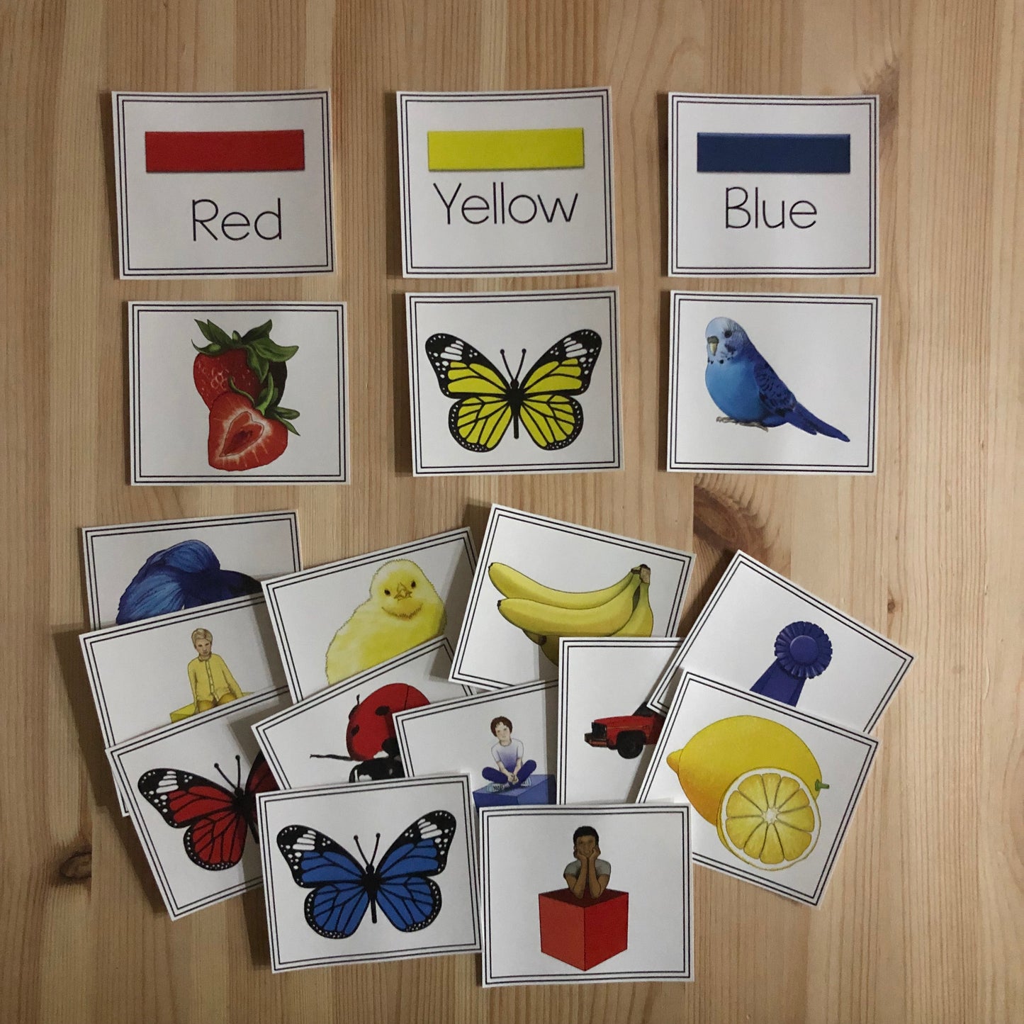 Color Sorts - montessorikiwi