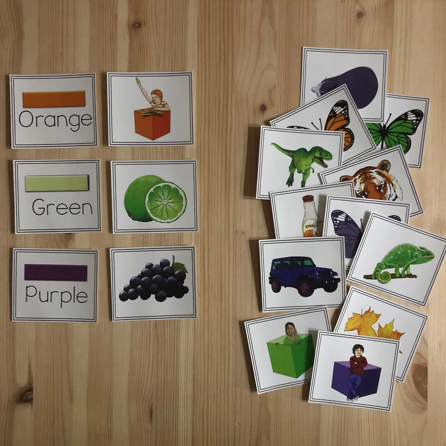Color Sorts - montessorikiwi