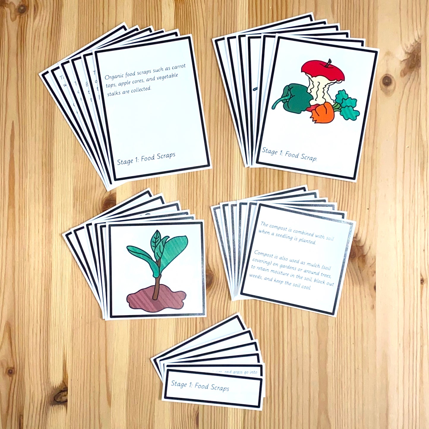 Compost Activities - montessorikiwi